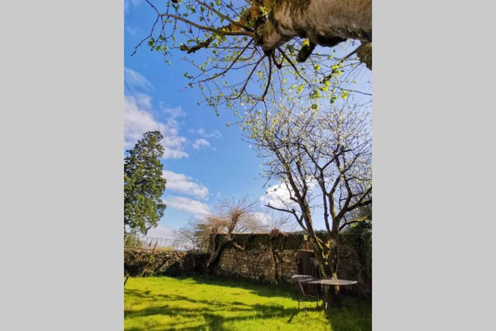 Amalouyse Studio De Charme Au Coeur Des Chateaux De Loire Montlouis-sur-Loire Esterno foto